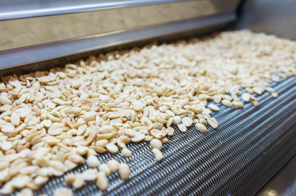 Nuts and Snack Food Manufacturing